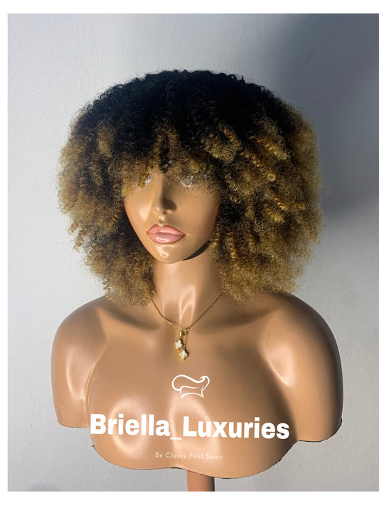 Colored Bouncy Curly Wig with Fringe – Afro Style Unit
